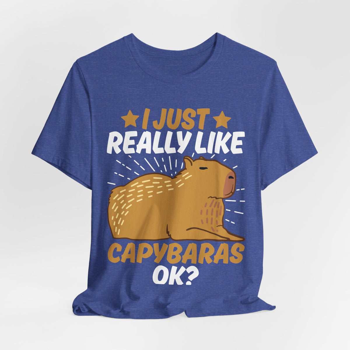 I Just Like Capybaras Ok? Tee