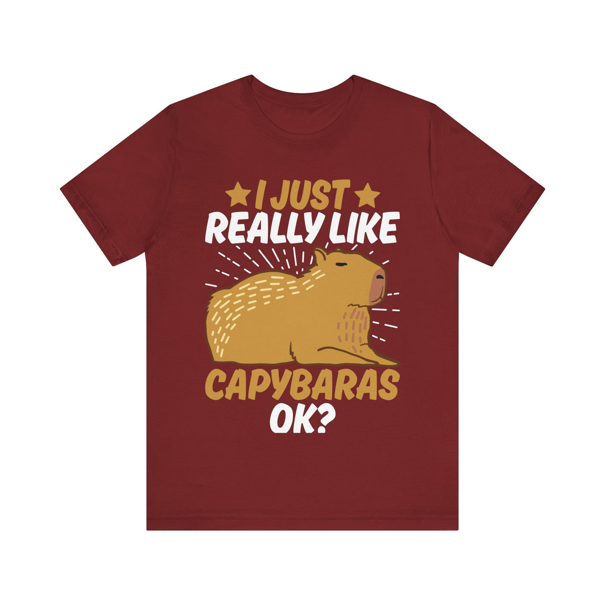 I Just Like Capybaras Ok? Tee