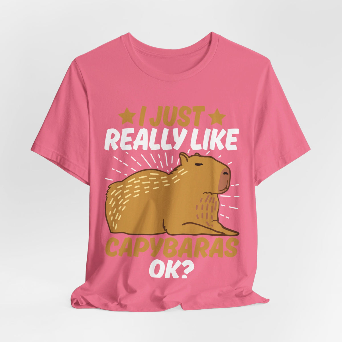 I Just Like Capybaras Ok? Tee