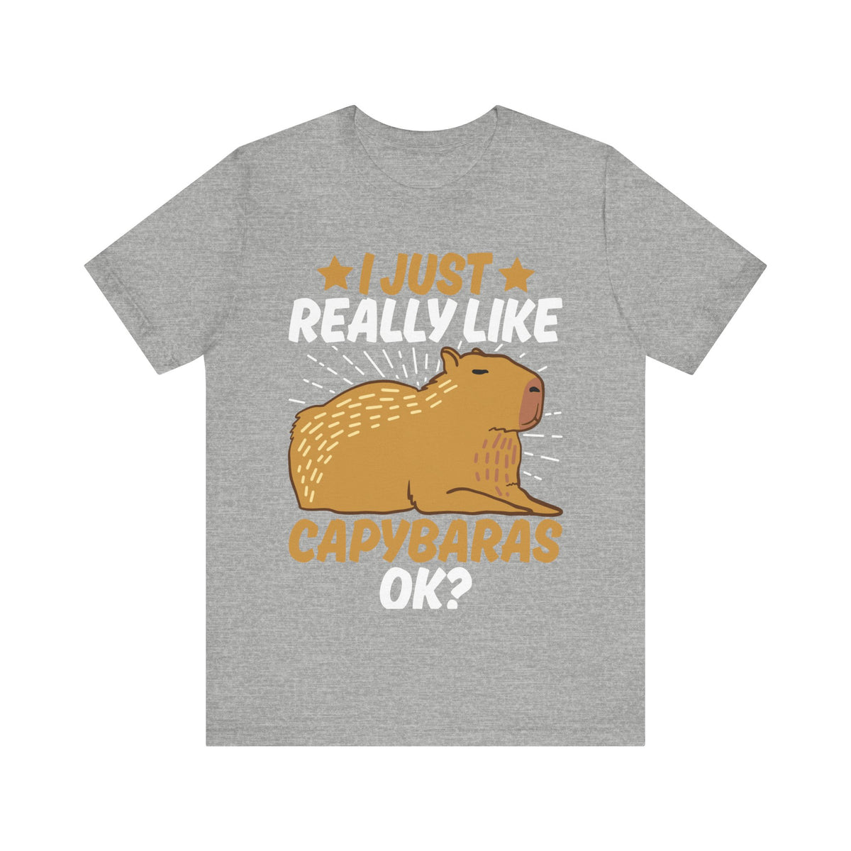 I Just Like Capybaras Ok? Tee