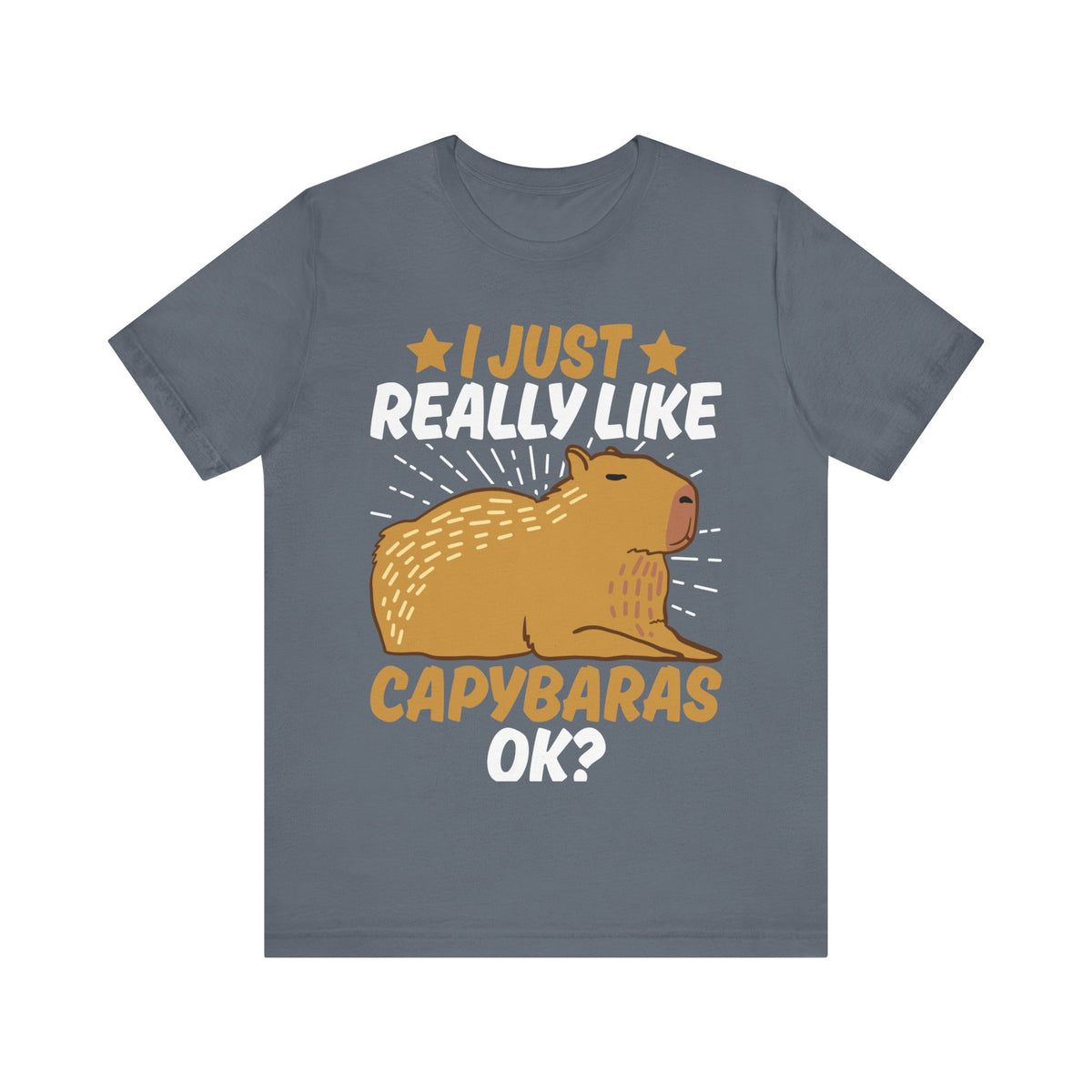 I Just Like Capybaras Ok? Tee