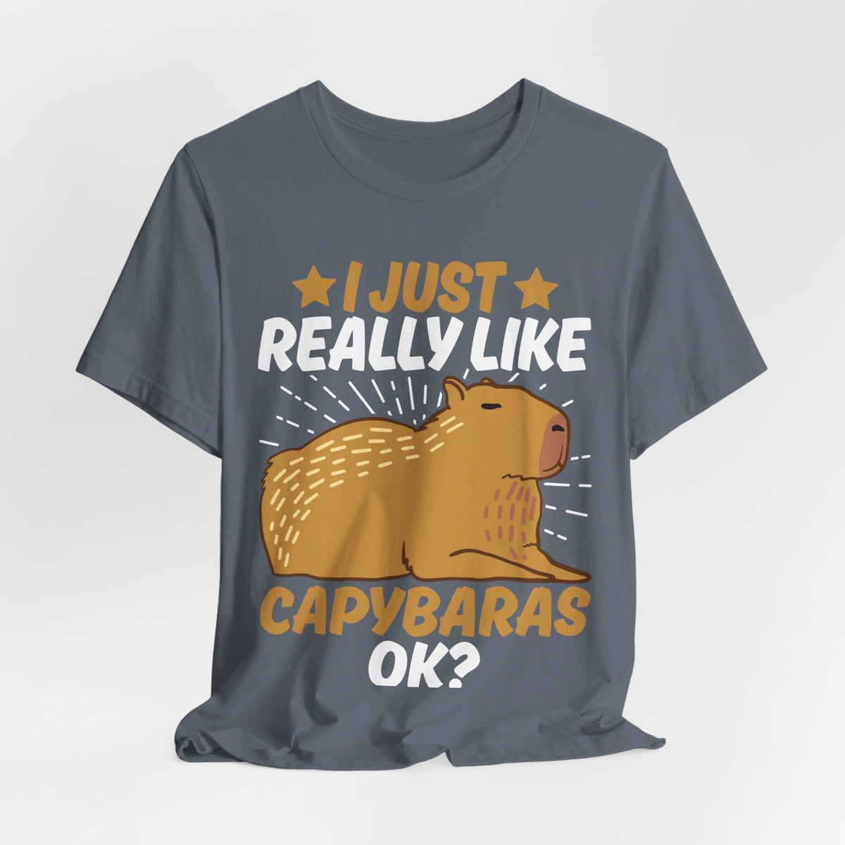 I Just Like Capybaras Ok? Tee