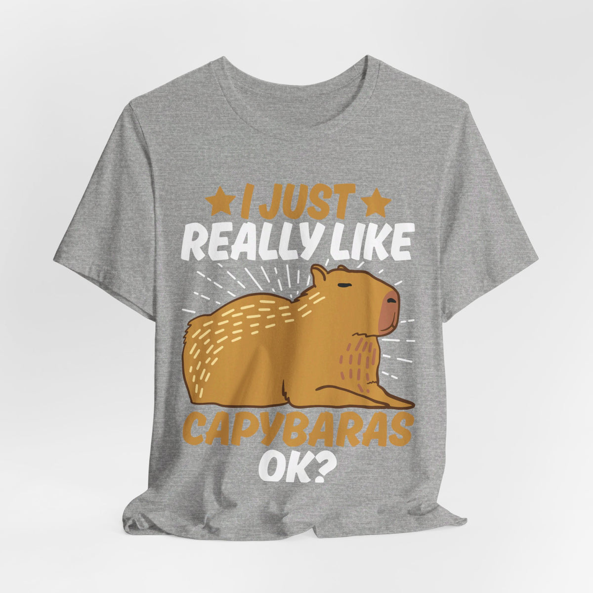 I Just Like Capybaras Ok? Tee