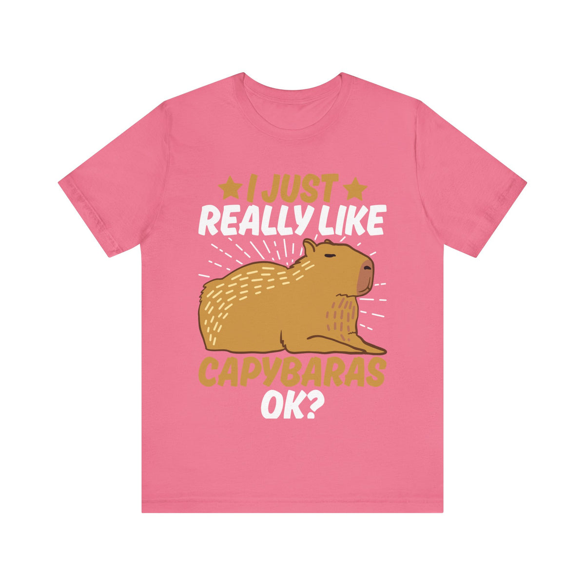 I Just Like Capybaras Ok? Tee