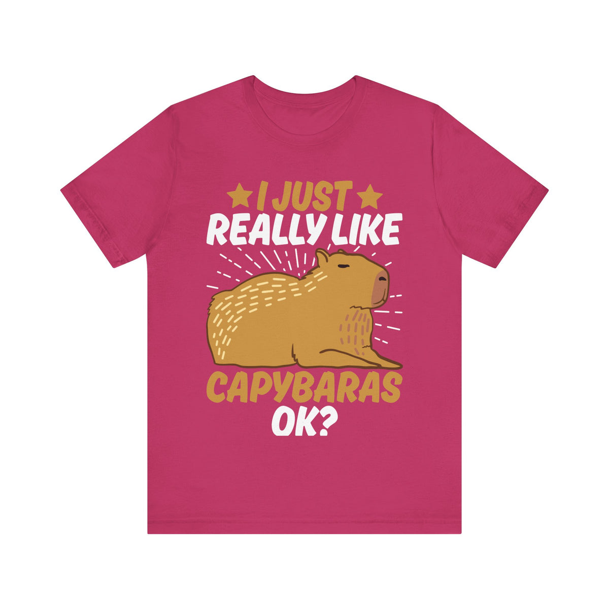 I Just Like Capybaras Ok? Tee